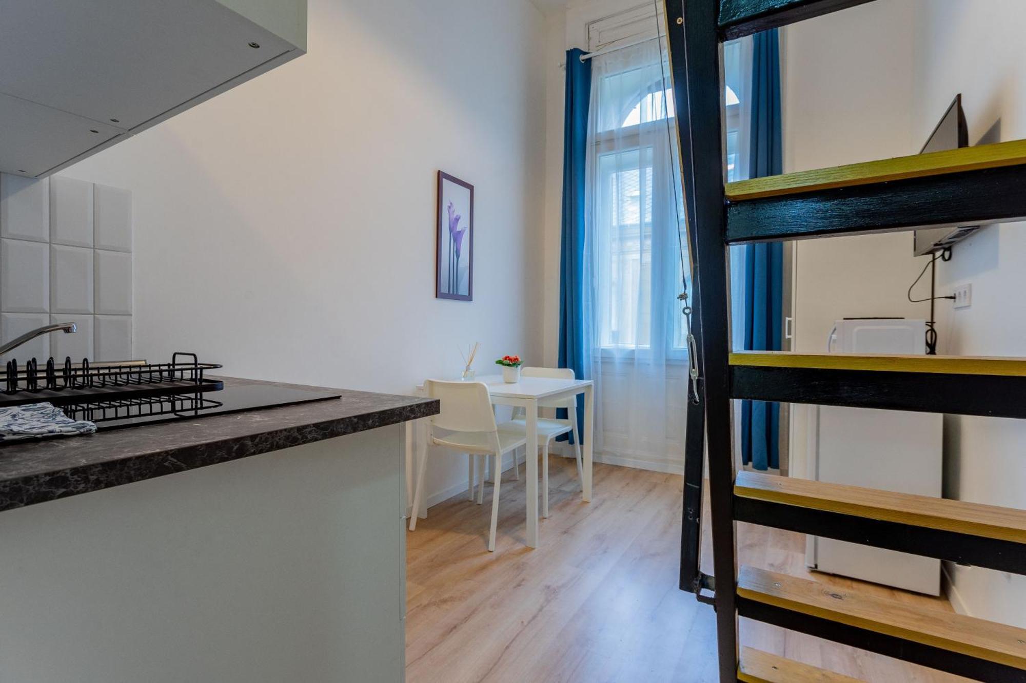 Apartamento Rakoczi